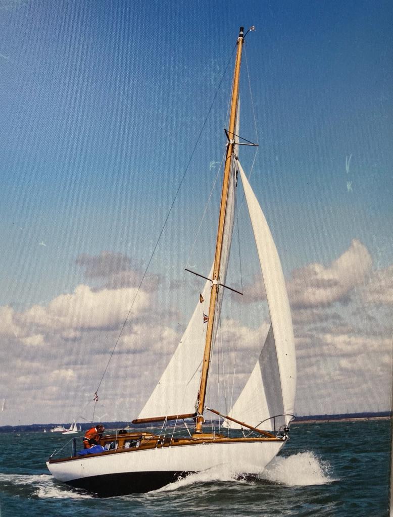 WhatsApp Image 2022-02-02 at 10.43.30 the ardoyna